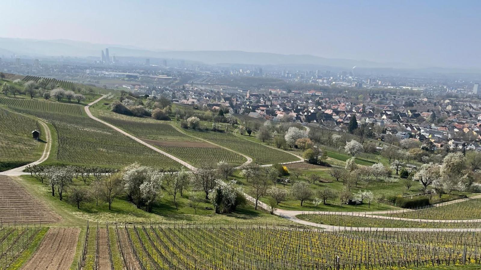 Landgasthof Rebstock Weil Am Rhein / Basel מראה חיצוני תמונה